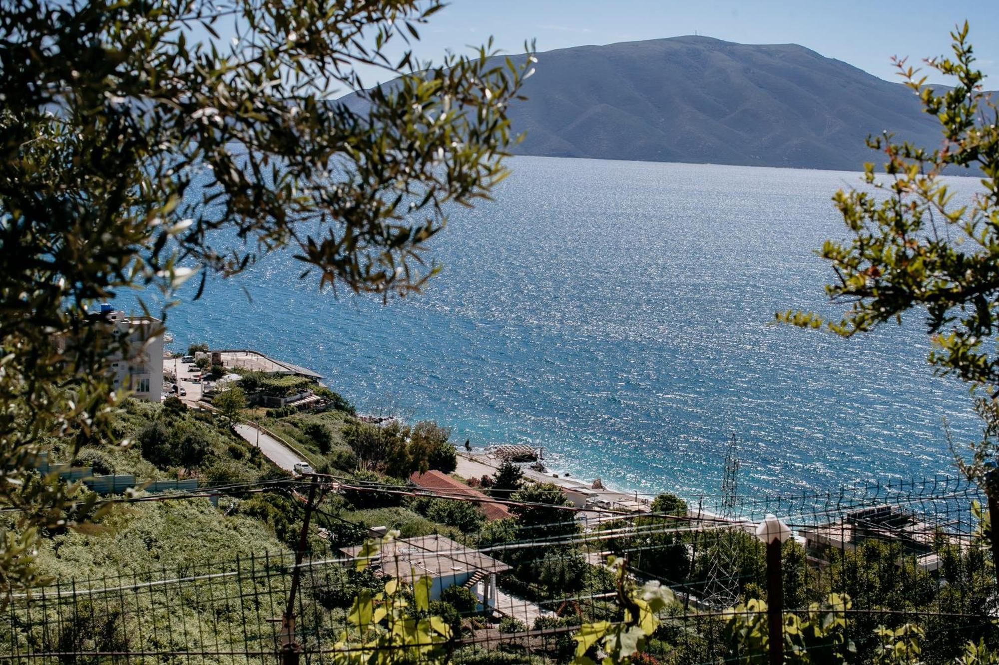 Villa Del Mar Kanine Exteriör bild